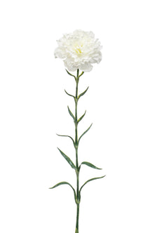 Emerald Kunstbloem Anjer 67cm wit