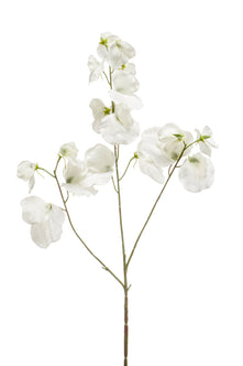 Emerald Kunstbloem Pronkerwt 75cm crème