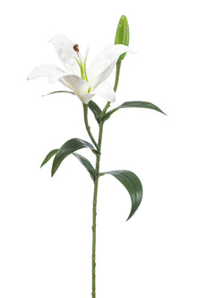 Emerald Kunstbloem Lelie wit 56cm