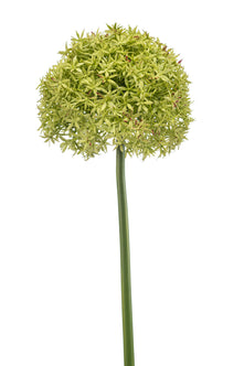 Emerald Kunstbloem Allium XL groen 90cm