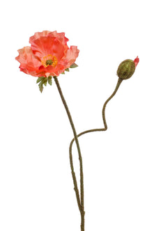 Emerald Kunstbloem Klaproos 74cm peach