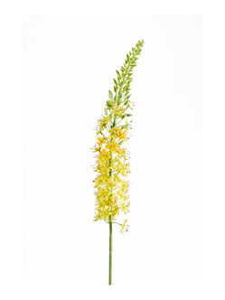 Emerald Kunstbloem Eremurus 105cm geel