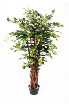 Emerald Kunstplant Ficus Benjamina Liana Deluxe 175cm