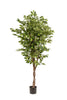 Emerald Kunstboom Ficus Deluxe Vine 170cm