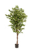 Emerald Kunstboom Ficus Deluxe Vine 170cm