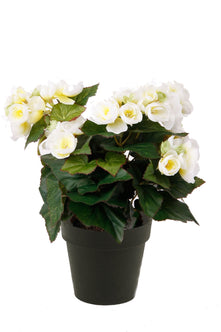 Emerald Kunstplant Begonia in pot 30cm wit