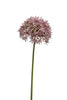 Emerald Kunstbloem Allium 62cm lila