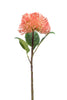 Emerald Kunstbloem Vetkruid 43cm peach