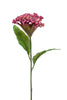 Emerald Kunstbloem Celosia 62cm roze