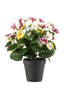 Emerald Kunstplant Viooltje in pot 29cm wit/paars/geel
