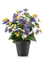 Emerald Kunstplant Viooltje in pot 29cm geel/blauw