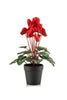 Emerald Kunstplant Cyclamen in pot  30cm rood