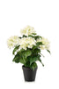 Emerald Kunstplant Hortensia in pot 40cm wit/groen