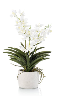 Emerald Kunstplant Vanda in pot 60cm wit