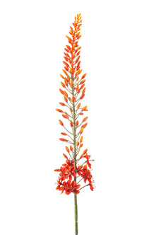 Emerald Kunstbloem Eremurus 108cm oranje