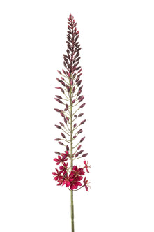 Emerald Kunstbloem Eremurus 108cm bordeaux