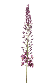 Emerald Kunstbloem Eremurus 108cm paars