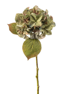 Emerald Kunstbloem Hortensia steel 47cm groen