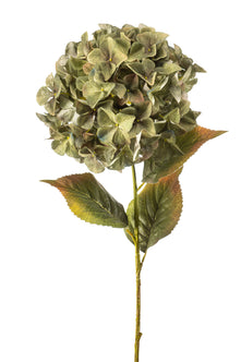 Emerald Kunstbloem Hortensia XL 90cm groen