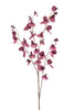 Emerald Kunstbloem Pronkerwt 110cm paars