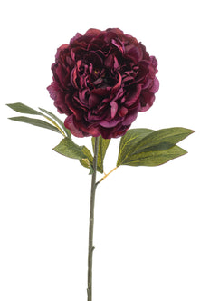 Emerald Kunstbloem Pioenroos 77cm bordeaux