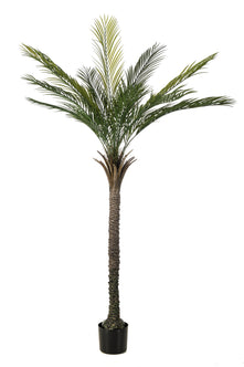 Emerald Kunstboom Palm UV 180cm