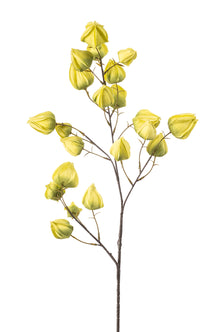 Emerald Kunstbloem Physalis 90cm groen