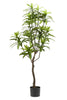 Emerald Kunstboom Dracaena 130cm