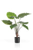 Emerald Kunstplant Alocasia 70cm