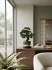Emerald Kunstplant Bonsai Ficus mini 37cm