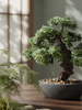 Emerald Kunstplant Bonsai Ficus mini 37cm