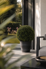 Emerald Kunstplant Buxus bol UV 40cm