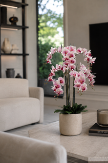 Emerald Kunstplant in pot Phalaenopsis roze 100cm