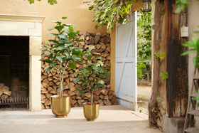 Emerald Kunstboom Ficus Lyrata 90cm