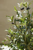 Emerald Kunstboom Olijfboom 115cm