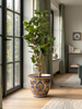 Emerald Kunstboom Polyscias 150cm