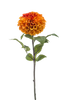 Seidenblumen