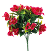 Kunst Bougainvillea
