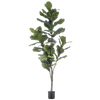 Kunst-Ficus