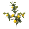 Kunst Fruittak