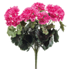 Kunst Geraniums