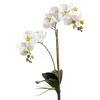 Kunst Orchidee